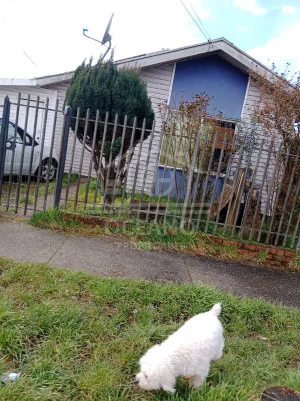 Casa en Alerce Sur