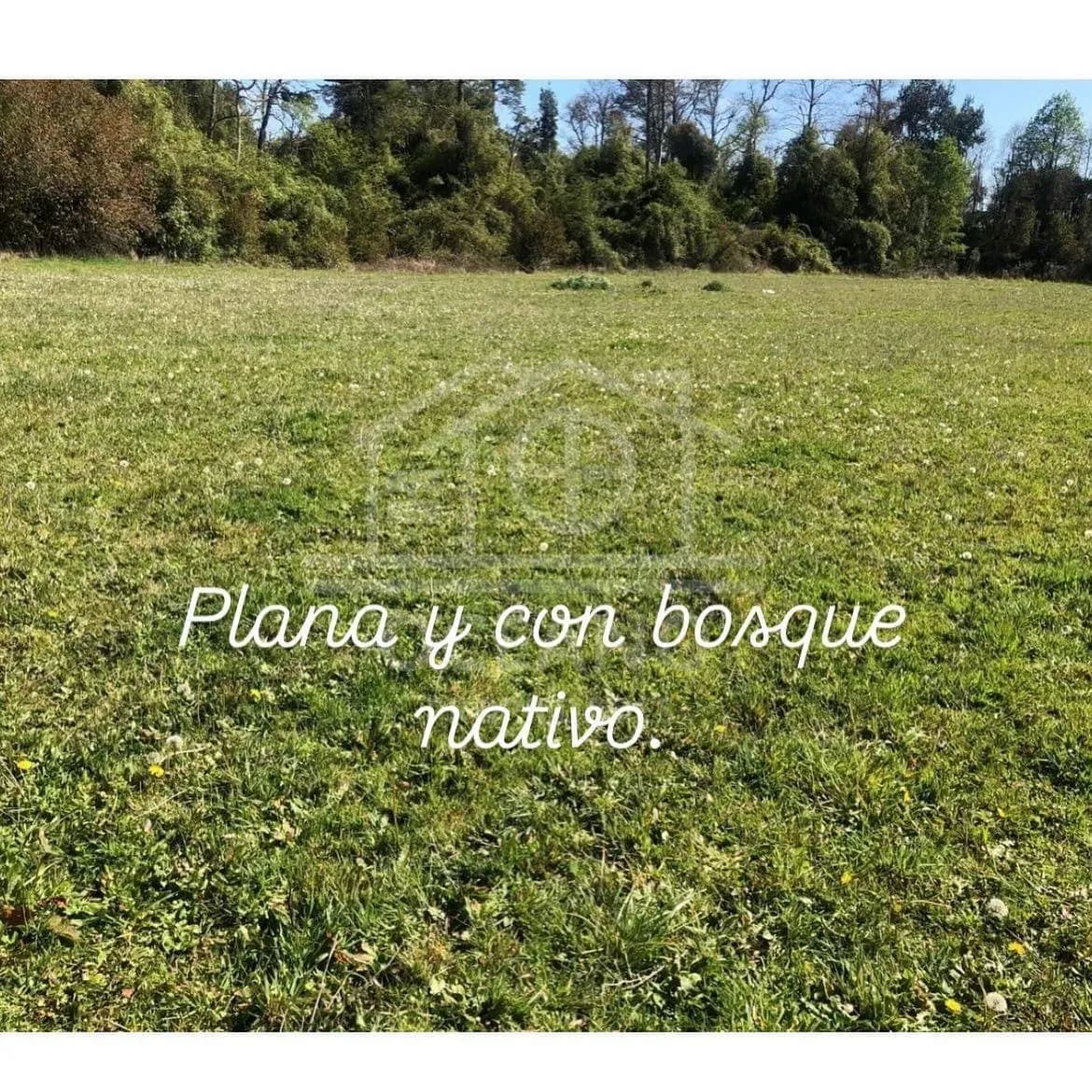 Imperdible Parcela en Frutillar