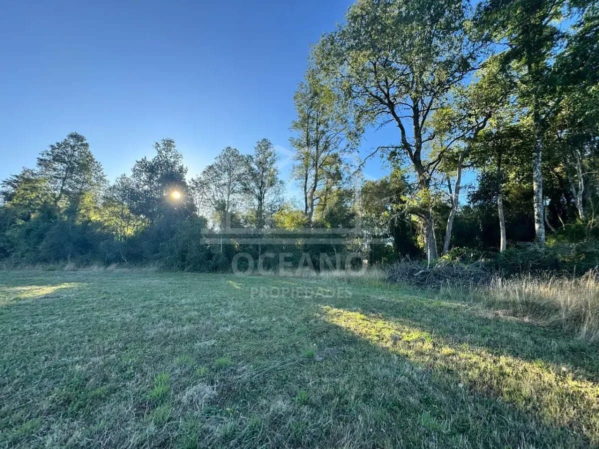 Imperdible Parcela en Frutillar