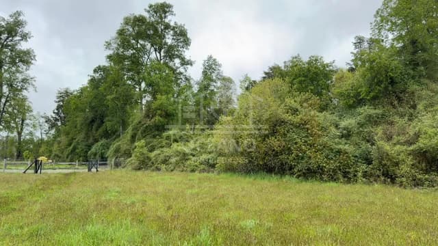 Imperdible Parcela en Frutillar