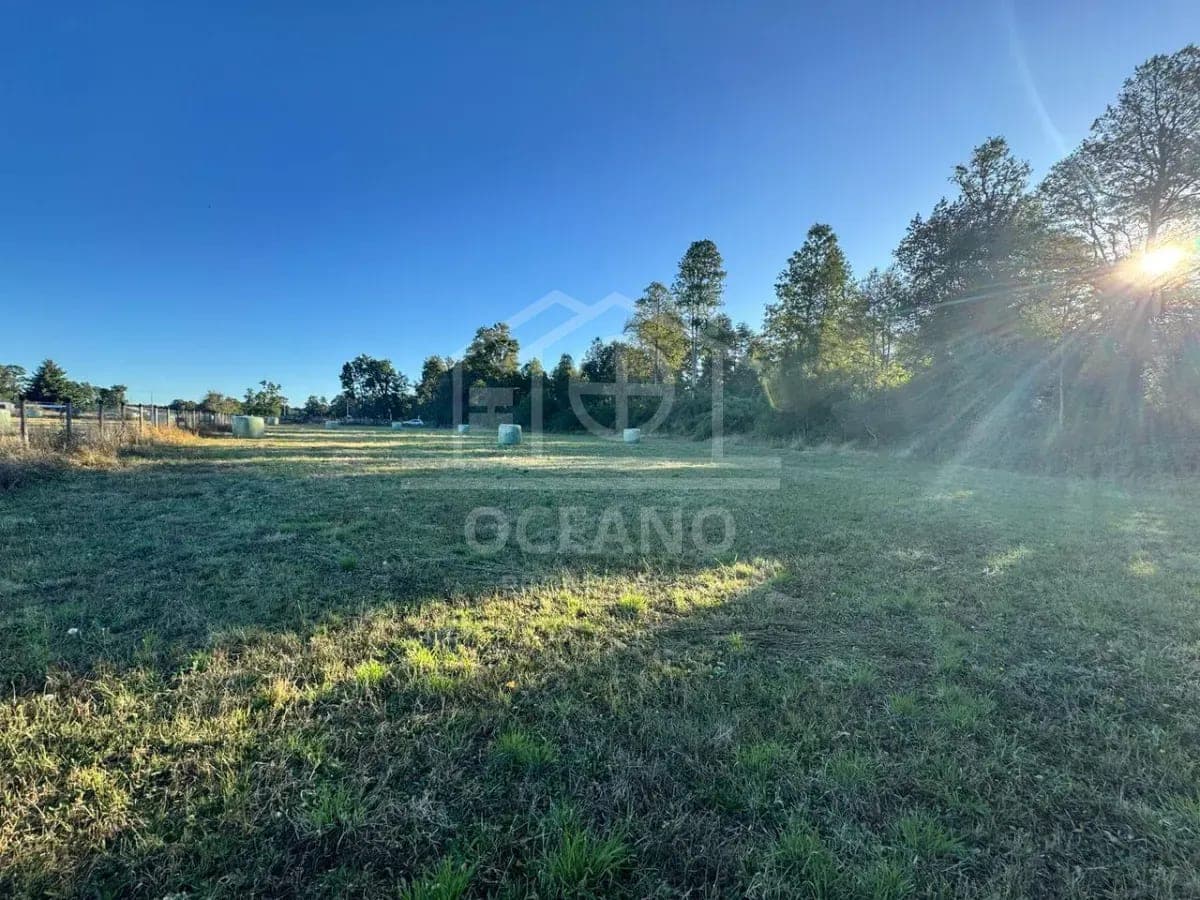 Imperdible Parcela en Frutillar