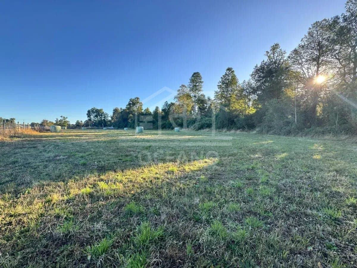 Imperdible Parcela en Frutillar