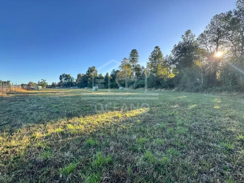 Imperdible Parcela en Frutillar