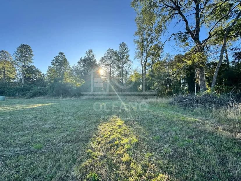 Imperdible Parcela en Frutillar