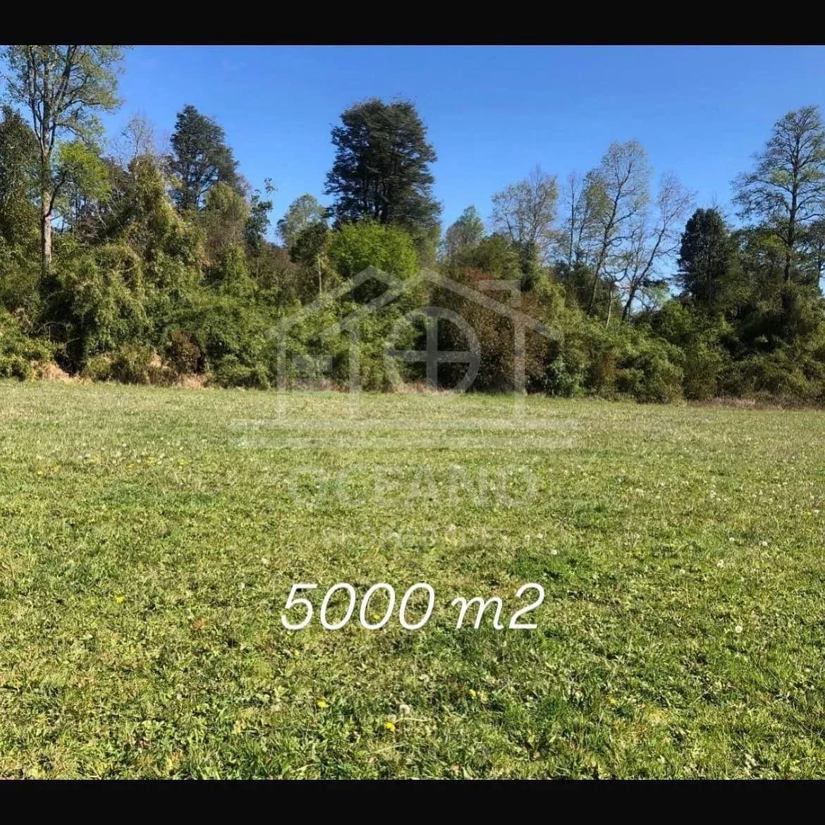 Imperdible Parcela en Frutillar