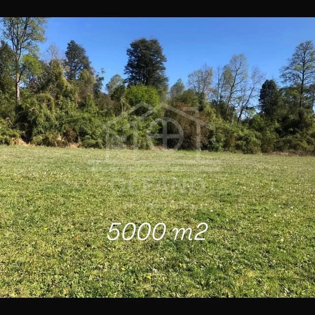 Imperdible Parcela en Frutillar