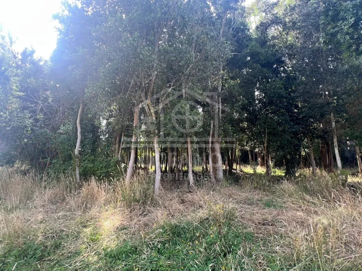 Parcelas a 20 minutos de Pto Montt en Condominio Monte Verde