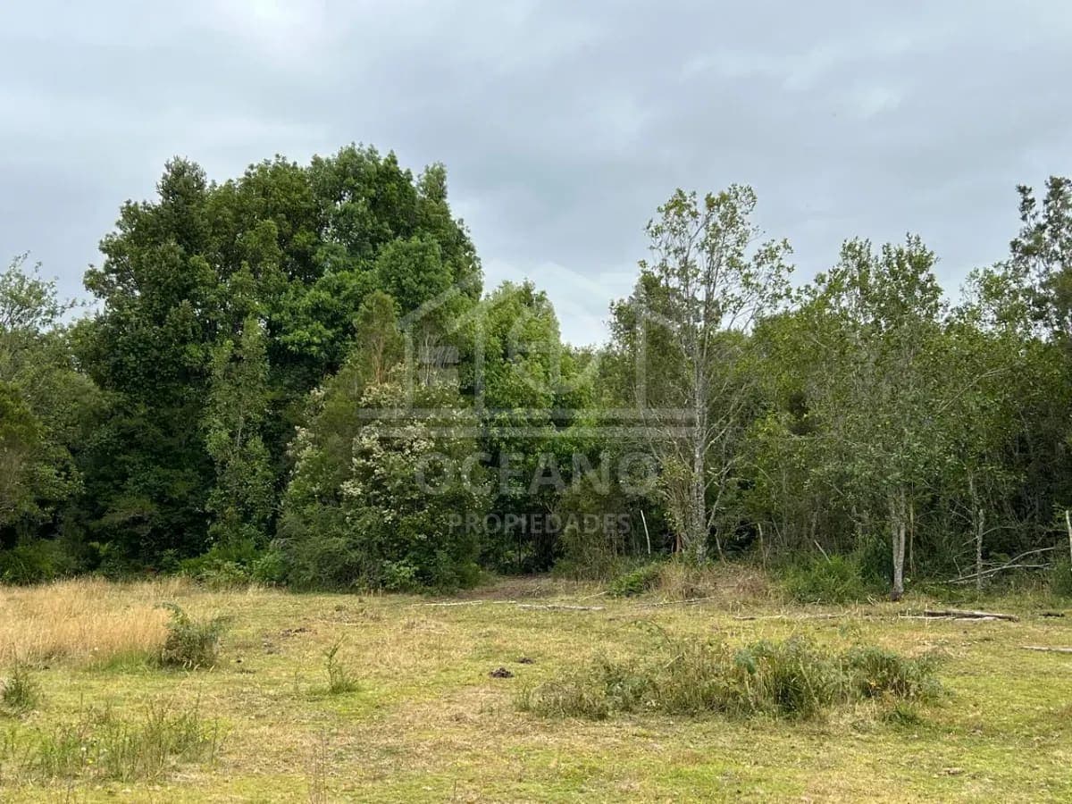 Parcelas a 20 minutos de Pto Montt en Condominio Monte Verde