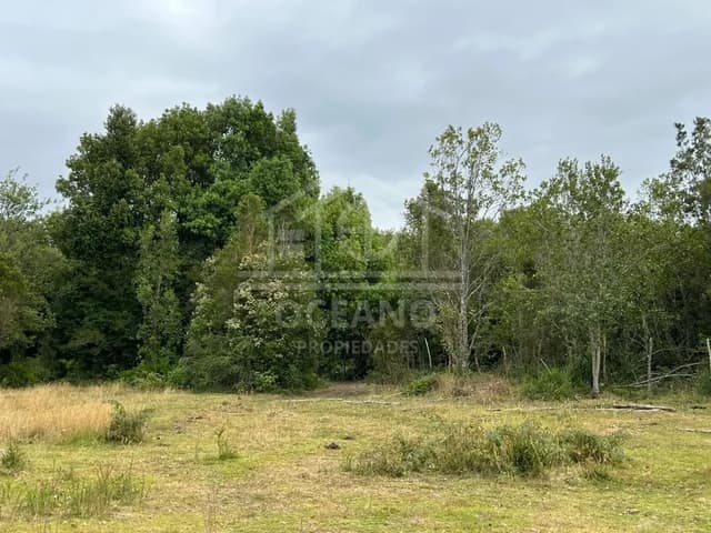 Parcelas a 20 minutos de Pto Montt en Condominio Monte Verde