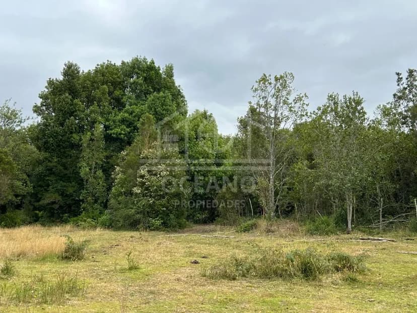 Parcelas a 20 minutos de Pto Montt en Condominio Monte Verde