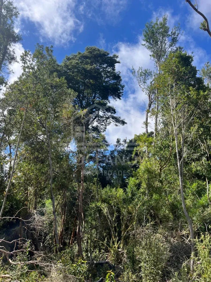 Parcelas a 20 minutos de Pto Montt en Condominio Monte Verde