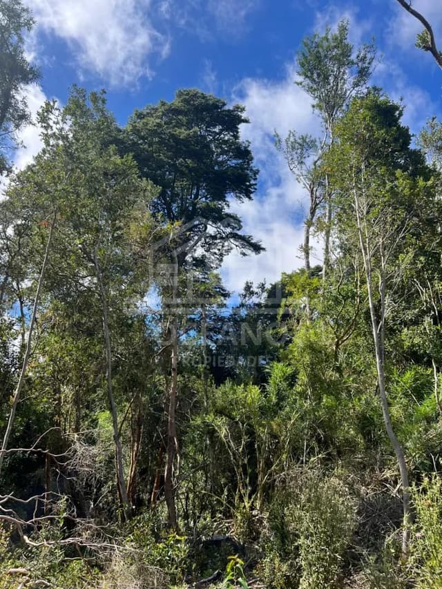 Parcelas a 20 minutos de Pto Montt en Condominio Monte Verde