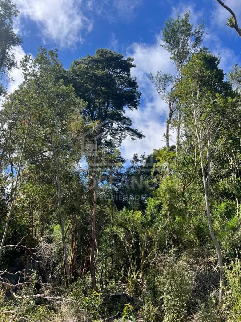 Parcelas a 20 minutos de Pto Montt en Condominio Monte Verde