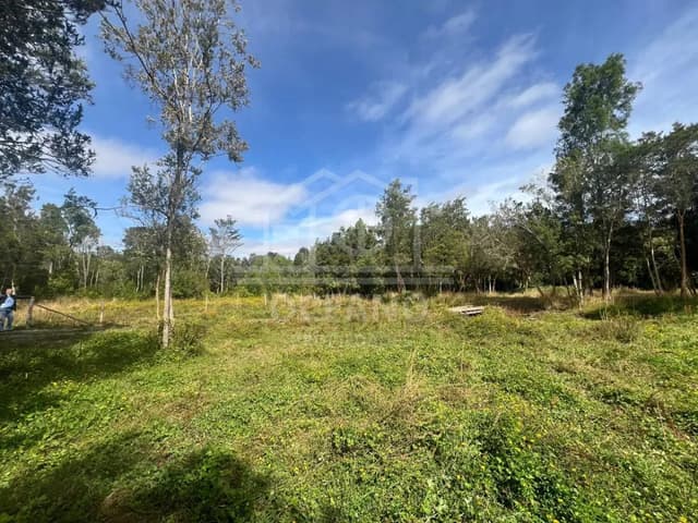 Parcelas a 20 minutos de Pto Montt en Condominio Monte Verde