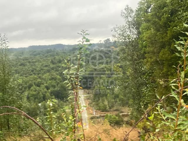 Parcelas a 20 minutos de Pto Montt en Condominio Monte Verde