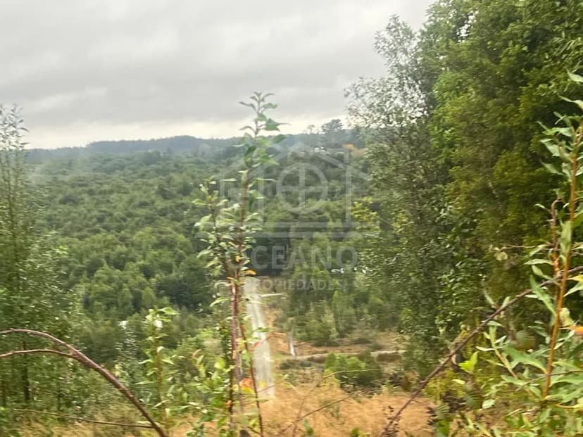 Parcelas a 20 minutos de Pto Montt en Condominio Monte Verde