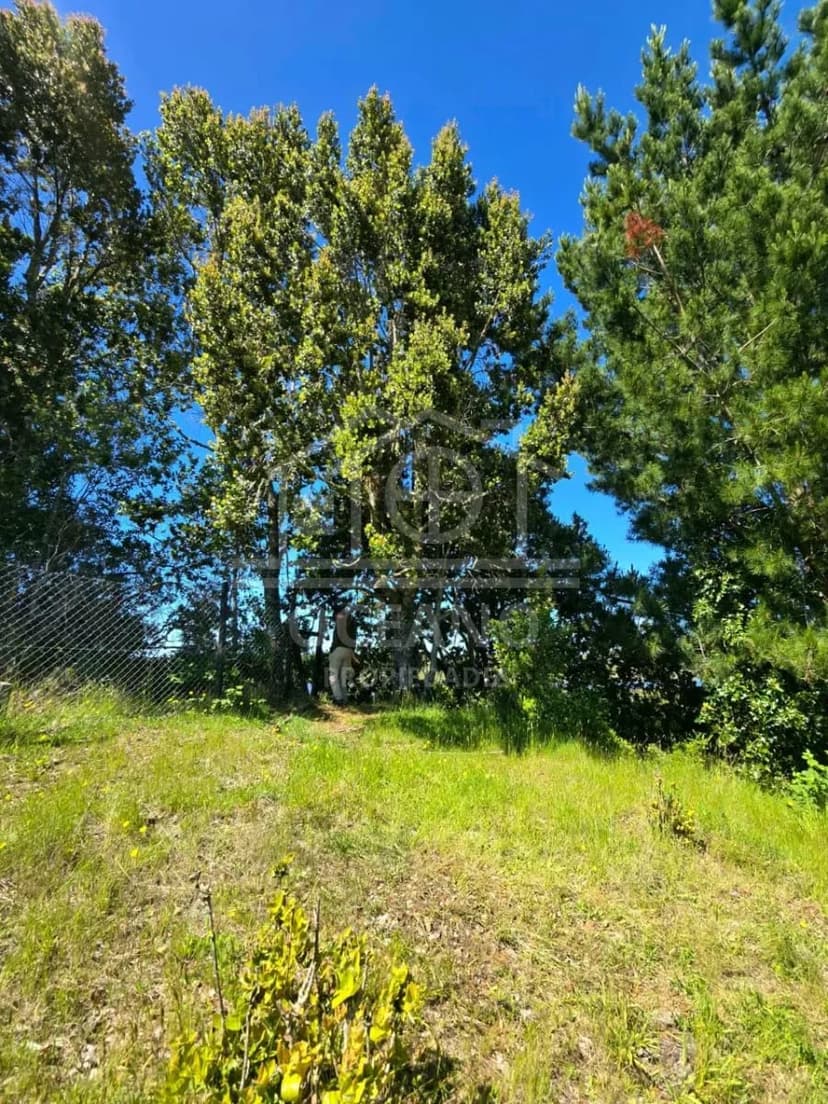 Parcelas a 20 minutos de Pto Montt en Condominio Monte Verde