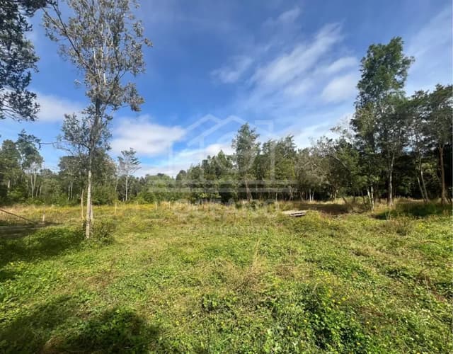 Parcelas a 20 minutos de Pto Montt en Condominio Monte Verde