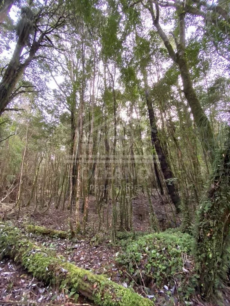 Oportunidad Parcela Agricola en Condominio en Puerto Montt