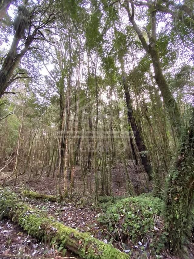 Oportunidad Parcela Agricola en Condominio en Puerto Montt
