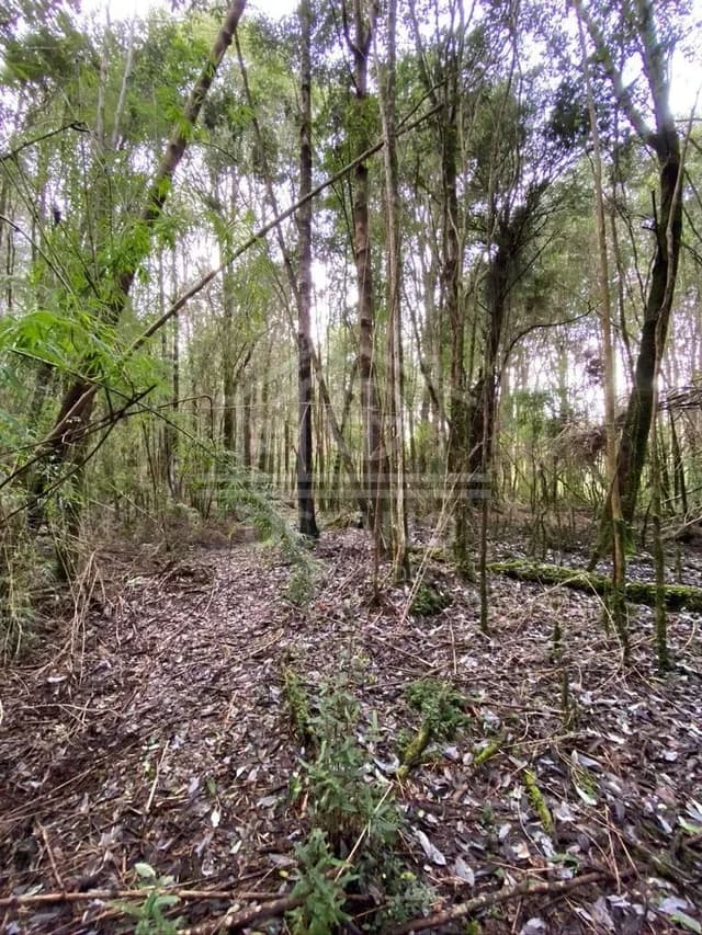 Oportunidad Parcela Agricola en Condominio en Puerto Montt