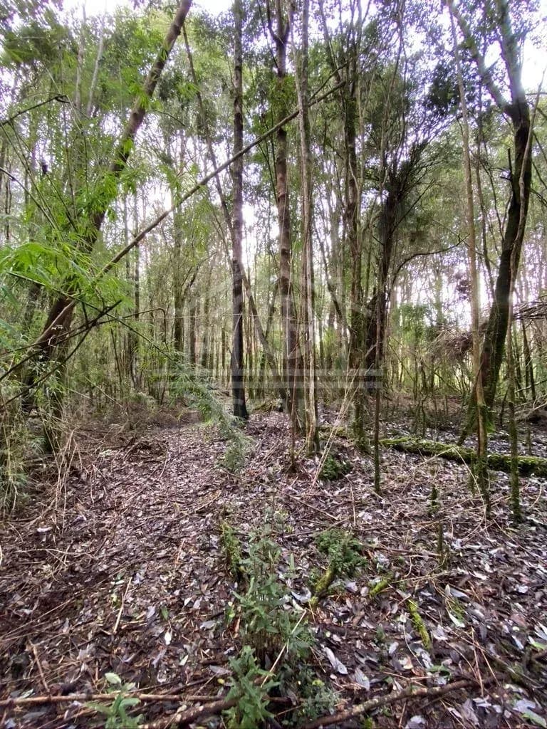 Oportunidad Parcela Agricola en Condominio en Puerto Montt
