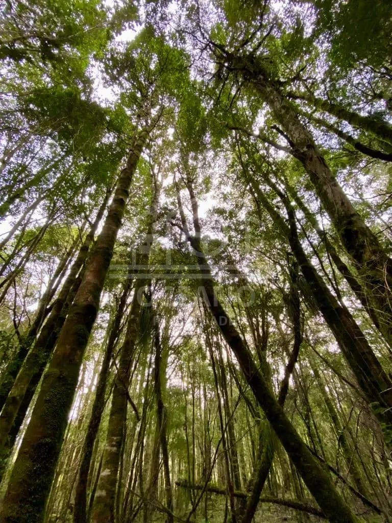 Oportunidad Parcela Agricola en Condominio en Puerto Montt