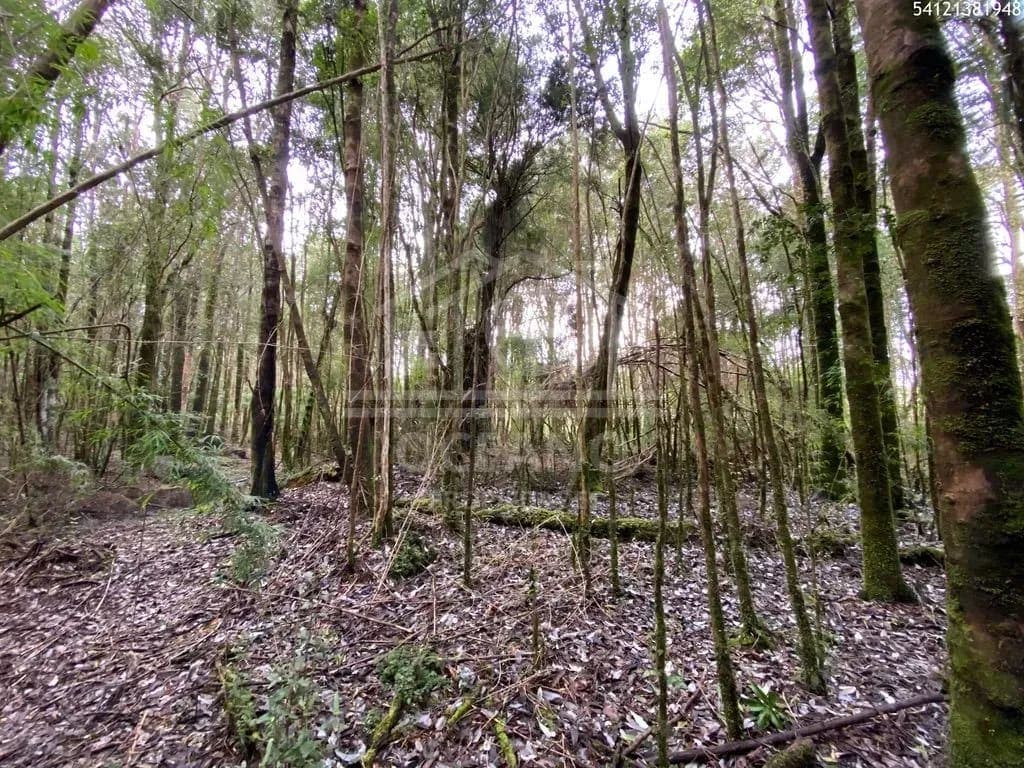 Oportunidad Parcela Agricola en Condominio en Puerto Montt