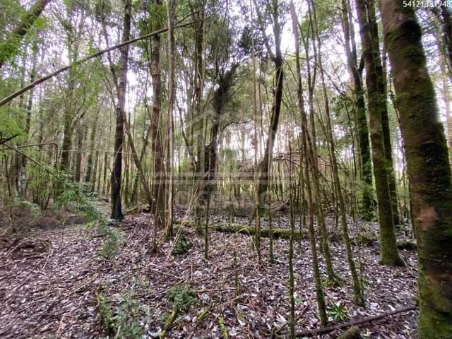 Oportunidad Parcela Agricola en Condominio en Puerto Montt
