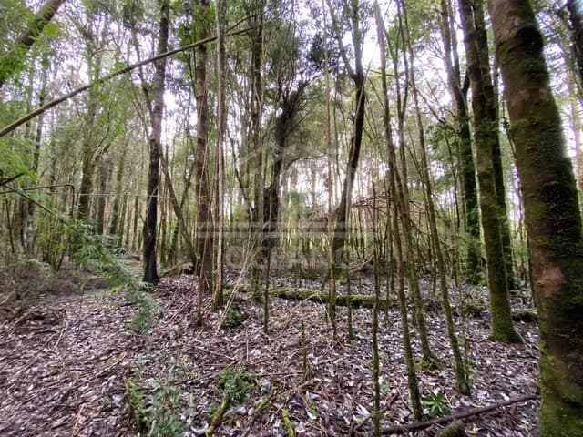 Oportunidad Parcela Agricola en Condominio en Puerto Montt