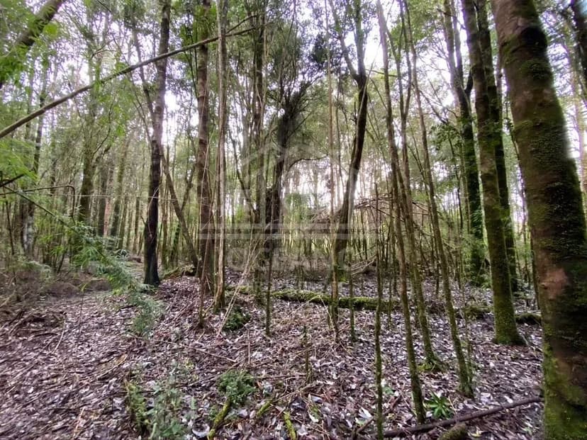 Oportunidad Parcela Agricola en Condominio en Puerto Montt