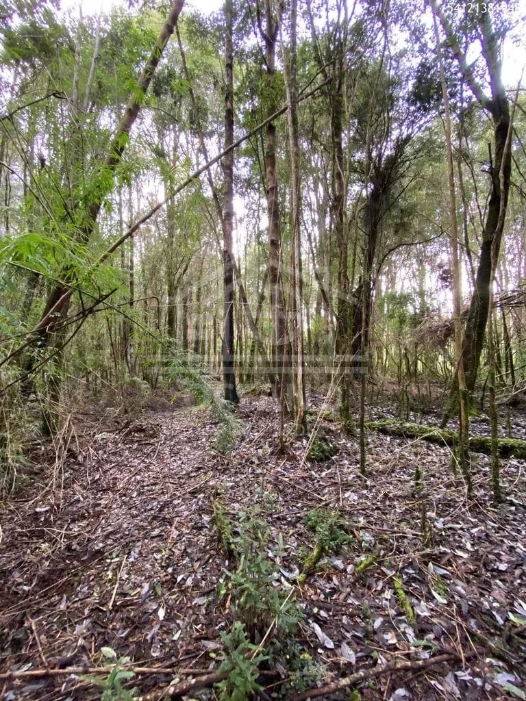 Oportunidad Parcela Agricola en Condominio en Puerto Montt
