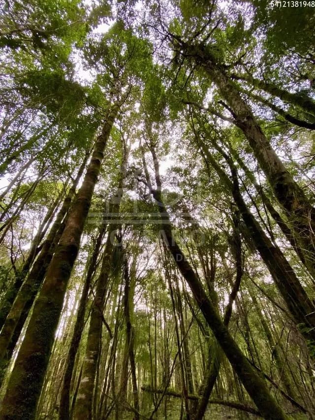 Oportunidad Parcela Agricola en Condominio en Puerto Montt