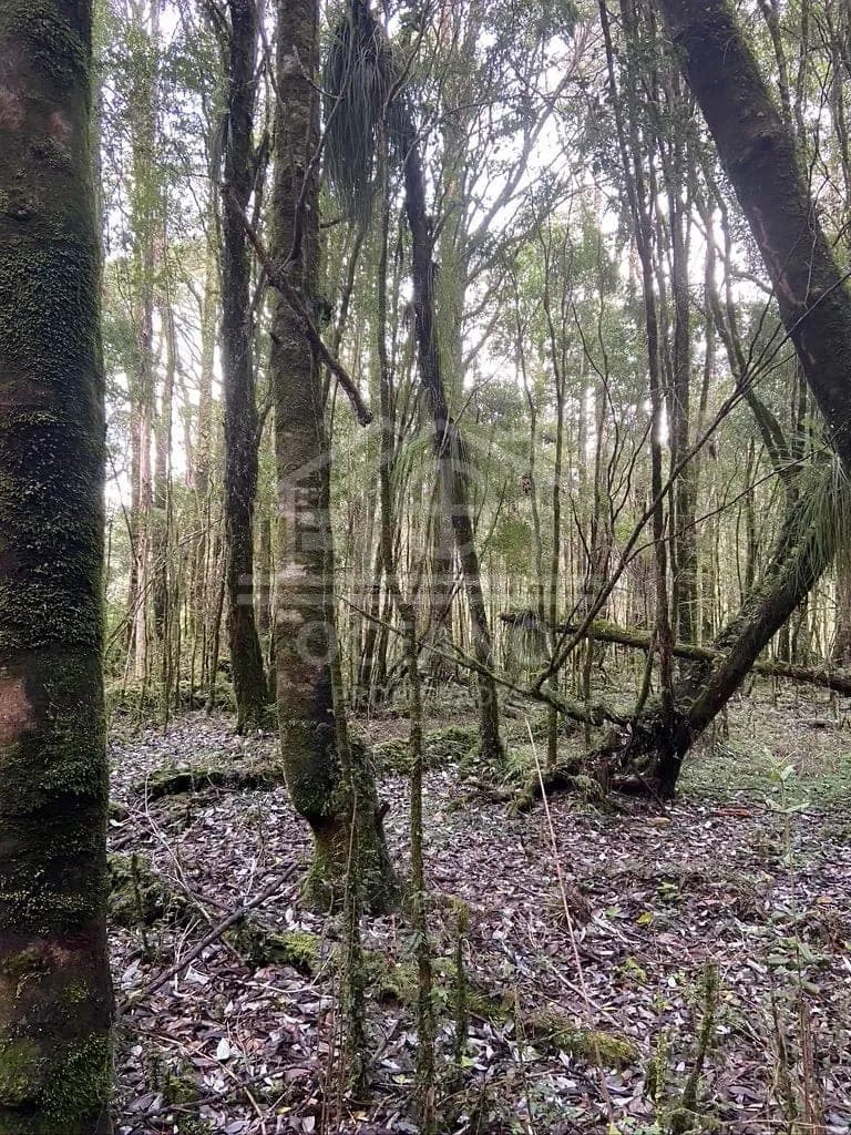 Oportunidad Parcela Agricola en Condominio en Puerto Montt