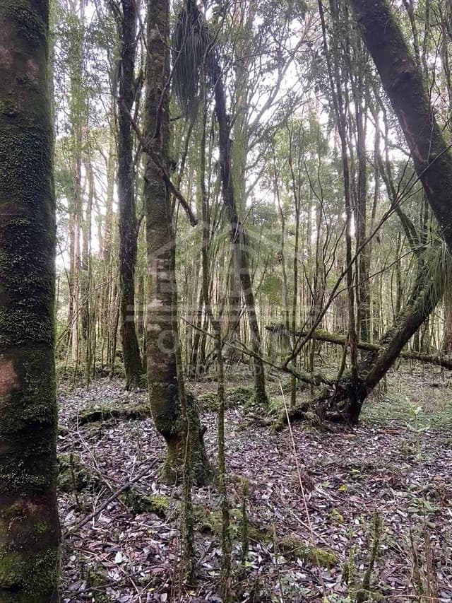 Oportunidad Parcela Agricola en Condominio en Puerto Montt