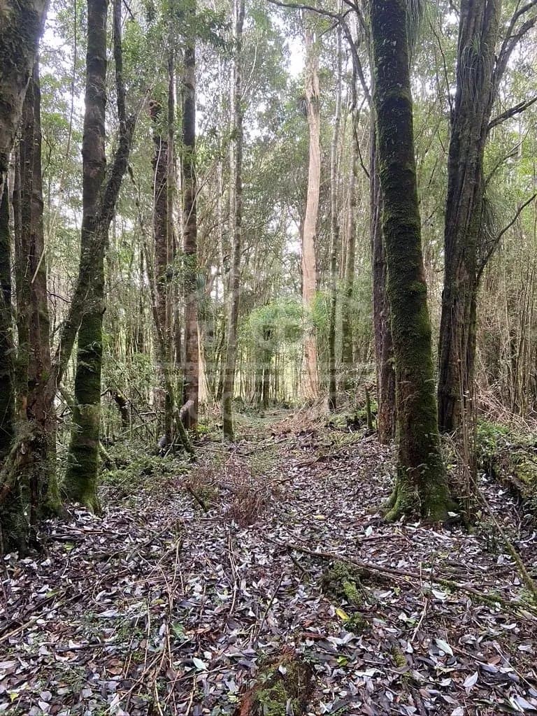 Oportunidad Parcela Agricola en Condominio en Puerto Montt
