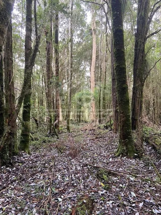 Oportunidad Parcela Agricola en Condominio en Puerto Montt