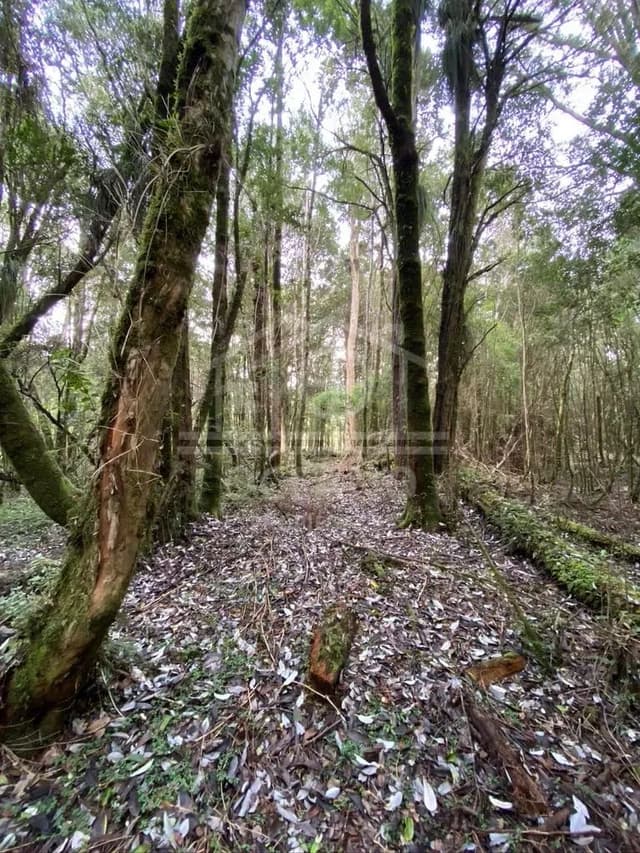 Oportunidad Parcela Agricola en Condominio en Puerto Montt