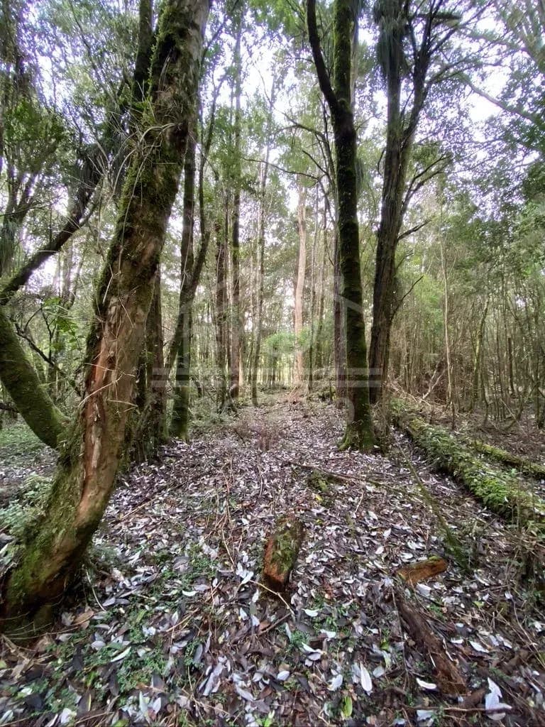 Oportunidad Parcela Agricola en Condominio en Puerto Montt