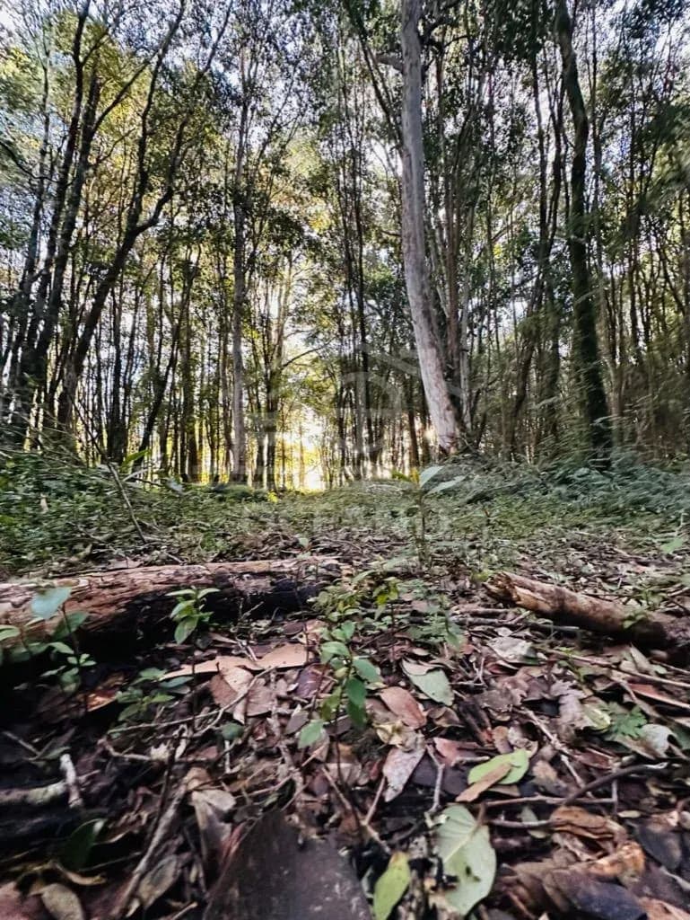 Oportunidad Parcela Agricola en Condominio en Puerto Montt