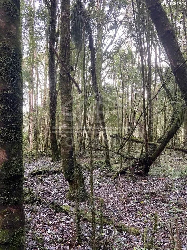 Oportunidad Parcela Agricola en Condominio en Puerto Montt