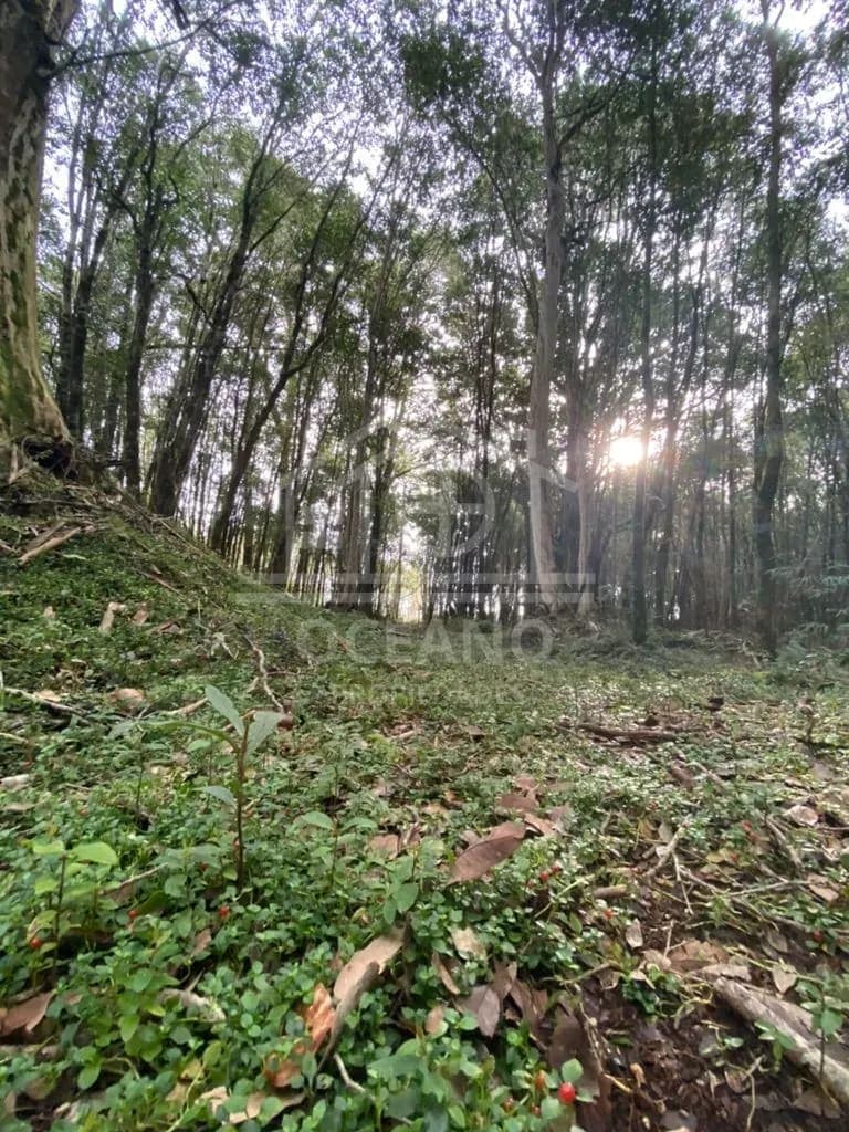 Oportunidad Parcela Agricola en Condominio en Puerto Montt