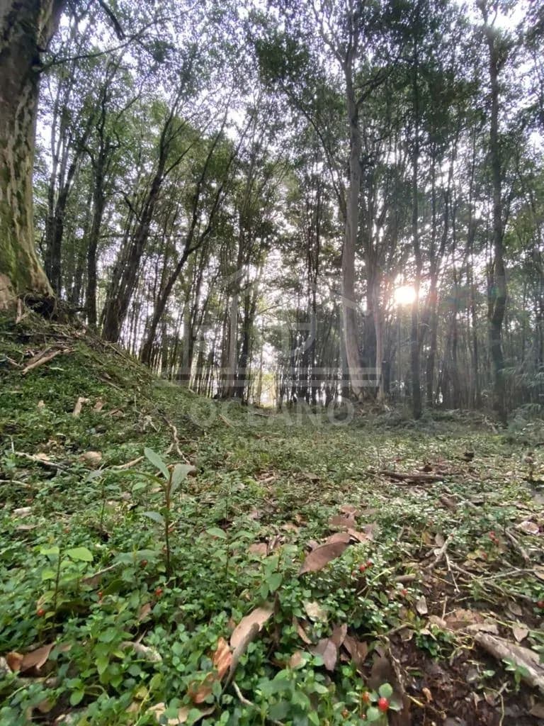 Oportunidad Parcela Agricola en Condominio en Puerto Montt