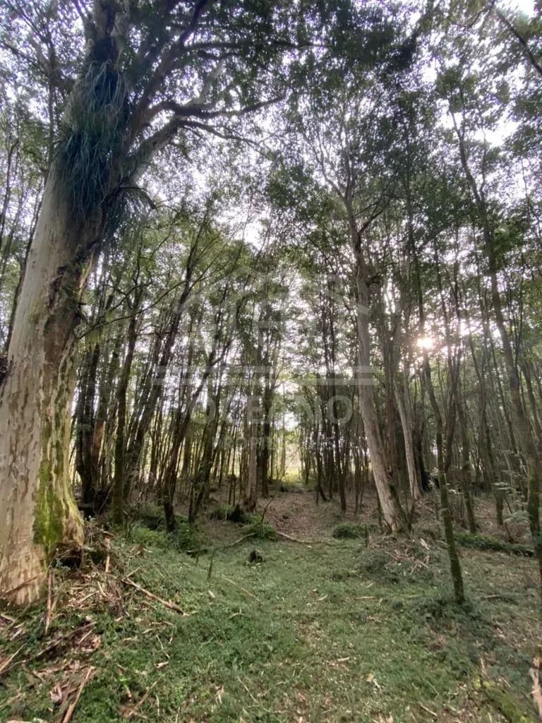 Oportunidad Parcela Agricola en Condominio en Puerto Montt