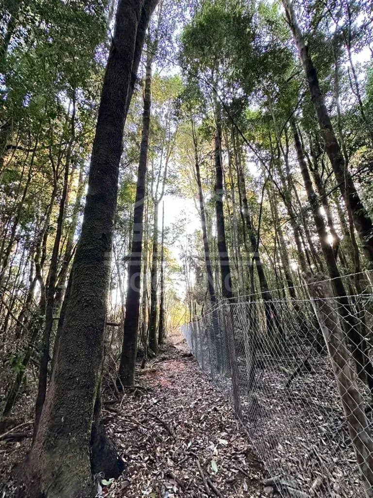 Oportunidad Parcela Agricola en Condominio en Puerto Montt