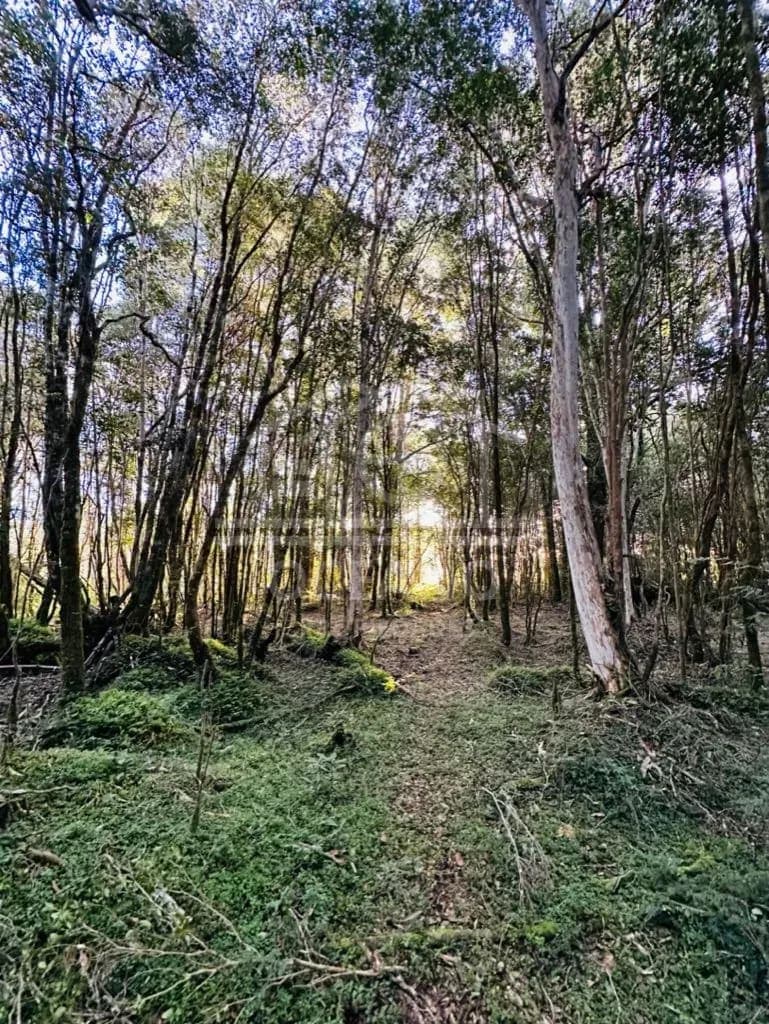 Oportunidad Parcela Agricola en Condominio en Puerto Montt