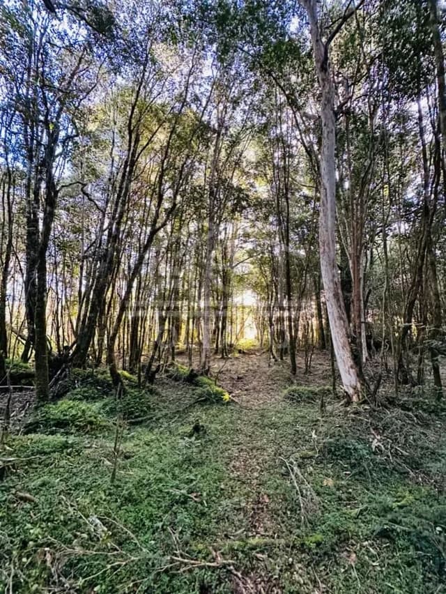 Oportunidad Parcela Agricola en Condominio en Puerto Montt
