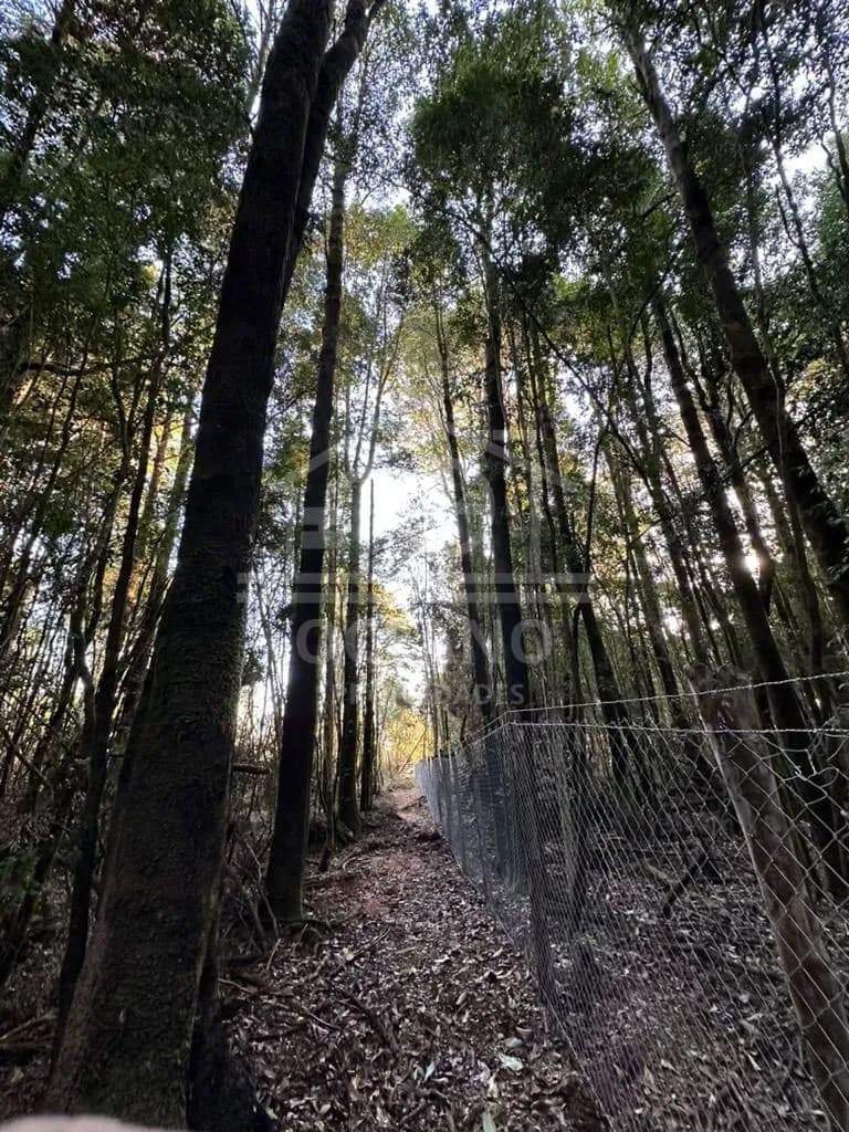 Oportunidad Parcela Agricola en Condominio en Puerto Montt