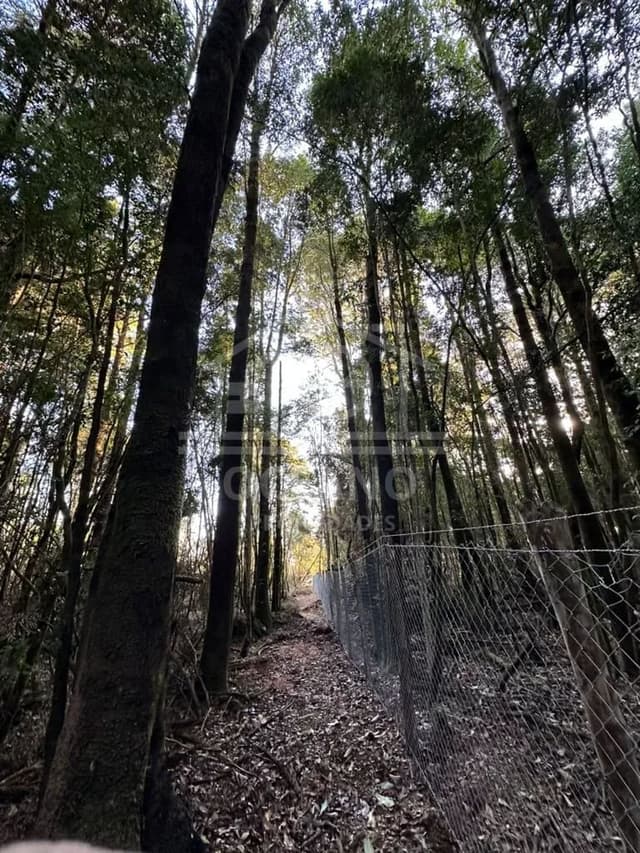 Oportunidad Parcela Agricola en Condominio en Puerto Montt