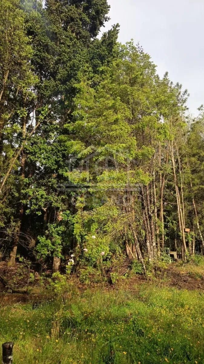 Oferta Casa 298 en parcela de 5000 Condominio Exclusivo